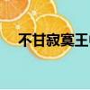 不甘寂寞王中平原唱完整版（不甘寂寞）
