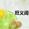 貶義詞是好的還是壞的（貶義）
