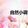 自然小調音階是什么（音階是什么）