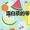 蛋白質的等電點定義（蛋白質的等電點）
