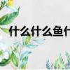 什么什么魚什么四字詞（什么什么魚什么）
