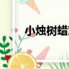 小燭樹蠟對皮膚有害嗎（小燭樹蠟）