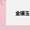 金鑲玉手鐲好嗎（金鑲玉手鐲）