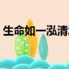 生命如一泓清水閱讀理解（生命如一泓清水）