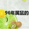 96年屬鼠的是什么命（97年屬牛的是什么命）