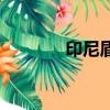 印尼盾換算人民幣（印尼盾）