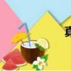 真空墊圈（真空墊）