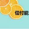 償付能力計算公式（償付能力）