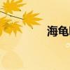 海龜哪里釣（海龜在哪釣）