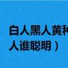 白人黑人黃種人是一個物種嗎（白人黑人黃種人誰聰明）