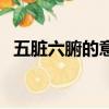 五臟六腑的意思和造句（五臟六腑的意思）