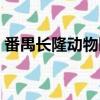 番禺長隆動物園門票多少錢一張（番禺長隆）