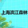 上海濱江森林公園簡介（上海濱江森林公園）