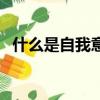 什么是自我意識的核心（什么是自我意識）