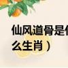仙風道骨是什么生肖最合適?（仙風道骨是什么生肖）