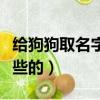 給狗狗取名字呆萌些的男（給狗狗取名字呆萌些的）