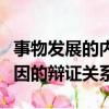 事物發展的內因和外因的辯證關系（內因和外因的辯證關系）