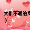 大椎不通的身體表現（大椎堵塞自己如何疏通）