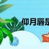 仰月唇是屬于什么嘴唇（仰月唇）
