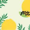 盧比奧nba數據（盧比奧）
