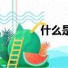 什么是吸狗（吸狗什么意思）