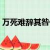 萬死難辭其咎什么意思（難辭其咎什么意思）