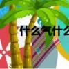 什么氣什么然的成語（什么然的成語）