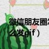微信朋友圈怎么發gif圖不動（微信朋友圈怎么發gif）