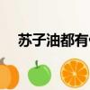 蘇子油都有什么作用（蘇子油是什么油）