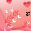 夢見豬游泳（豬游泳）