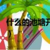 什么的池塘開滿什么的荷花仿寫（什么的池塘）