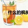 什么的楓樹二年級填空（什么的楓樹）