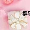 群馬甲怎么改（群馬甲）