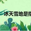 冰天雪地是指什么動物（冰天雪地打一肖）