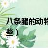 八條腿的動物有哪些名字（八條腿的動物有哪些）