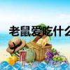 老鼠愛吃什么食物有哪些（老鼠愛吃什么食物）