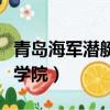 青島海軍潛艇學院錄取分數線（青島海軍潛艇學院）