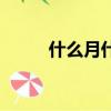 什么月什么花成語（什么花成語）