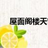 屋面閣樓天窗圖片大全（屋面閣樓天窗）