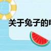 關于兔子的電影2018（有關兔子的電影）