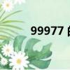99977 的含義（999777的含義）