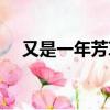 又是一年芳草綠作者（又是一年芳草綠）