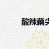 酸辣藕尖是哪里的菜（酸辣藕尖）