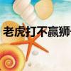 老虎打不贏獅子嗎（老虎為什么打不過獅子）