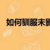 如何馴服末影龍當坐騎（末影龍怎么馴服）