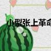 小型張上革命先驅中山先生題寫（小型張）