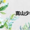 嵩山少林寺在哪（少林寺在哪）