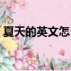 夏天的英文怎么寫好看（夏天的英文怎么寫）