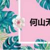何山無石猜一字（何山無石）