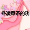 冬凌草茶的功效與作用及副作用（冬凌草茶）